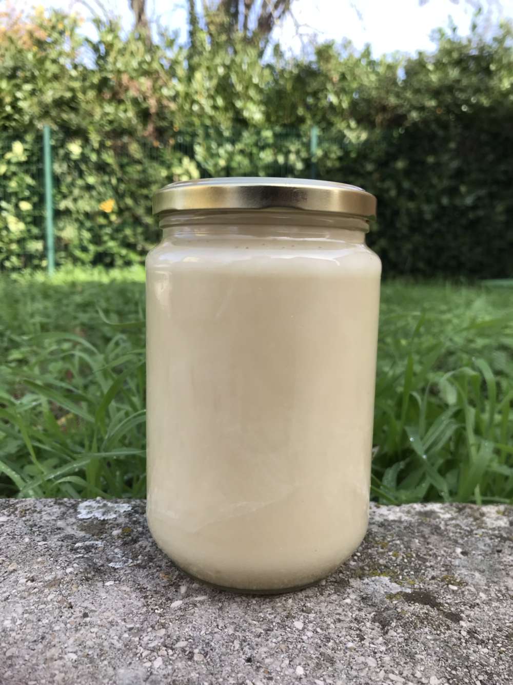 Miel blanc du Kirghizistan 140 G + 1 Cuillère en bois Biodégradable  100 %  naturel brut pur non filtré - Qualité Premium - Sans Conservateur - Fleur  de sainfoin - Doux et parfumé : : Epicerie
